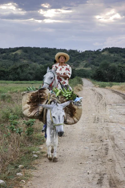 Kvinna som rider en häst i colombia — Stockfoto