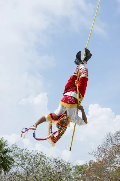 Danza 드 로스 Voladores 로열티 프리 스톡 사진