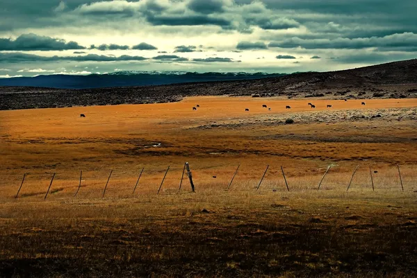 Patagonien — Stockfoto