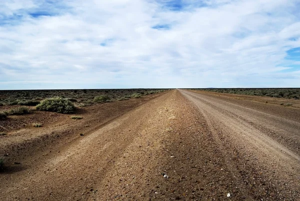 The road — Stock Photo, Image