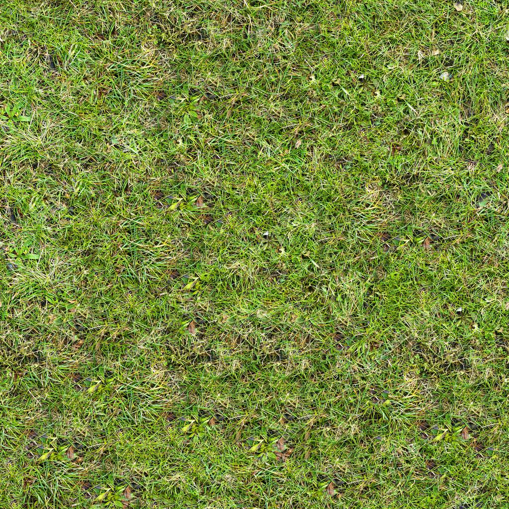 Grass Texture. — Stock Photo © tashatuvango #21300977