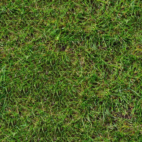 Groen gras. naadloze textuur. — Stockfoto