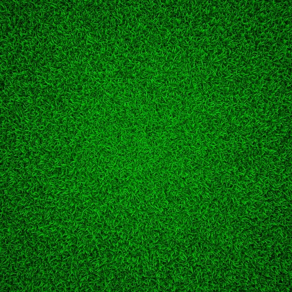 Erba verde. — Foto Stock