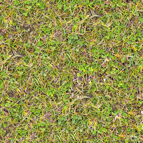 Трава. Бесшовная текстура . — стоковое фото