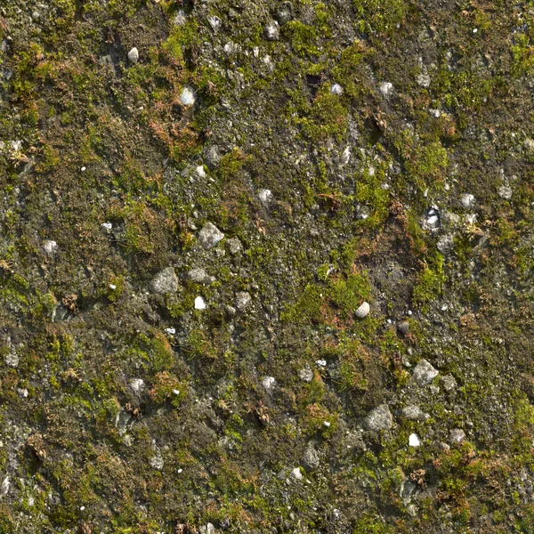 Mossy parete texture senza cuciture . — Foto Stock
