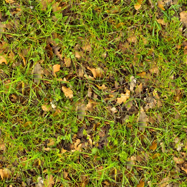 Лесная почва. Бесшовная текстура . — стоковое фото