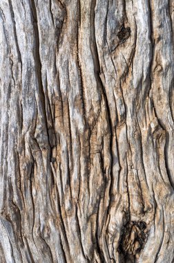 eski ahşap arka plan.