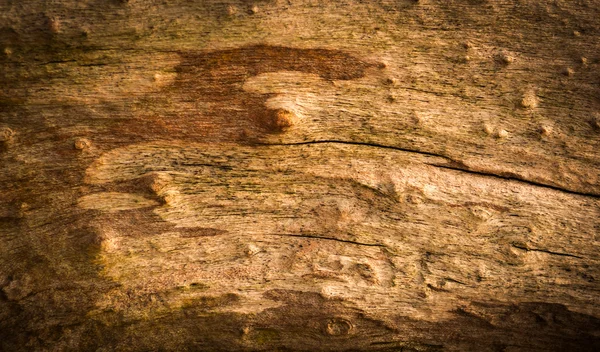 Vintage grungy gammalt trä. — Stockfoto