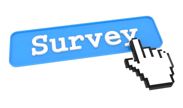 Survey Button. — Stock Photo, Image