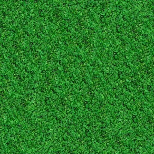 Seamless Texture. Green Meadow Grass. — Stockfoto