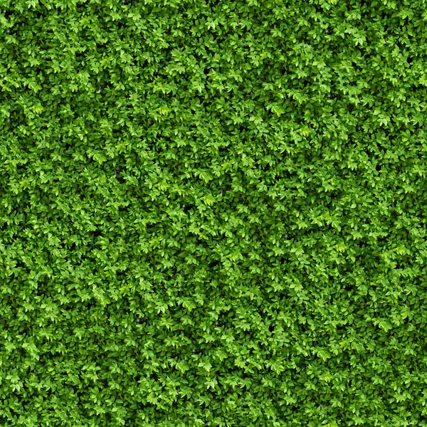 Arbusto Verde. Textura sem costura . — Fotografia de Stock