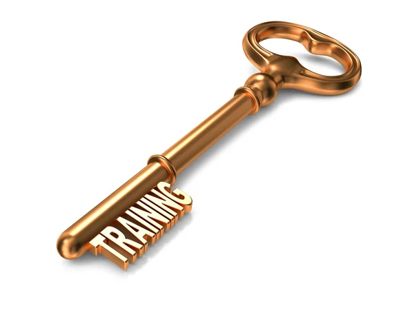 Opleiding - gouden sleutel. — Stockfoto