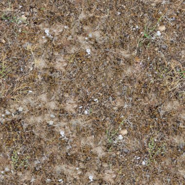 Seamless Texture of Prairie Soils. clipart