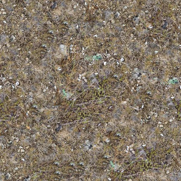 Bezešvé textura půdy kamenité stepi. — Stock fotografie