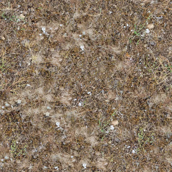 Varrat nélküli textúra prairie talajok. — Stock Fotó