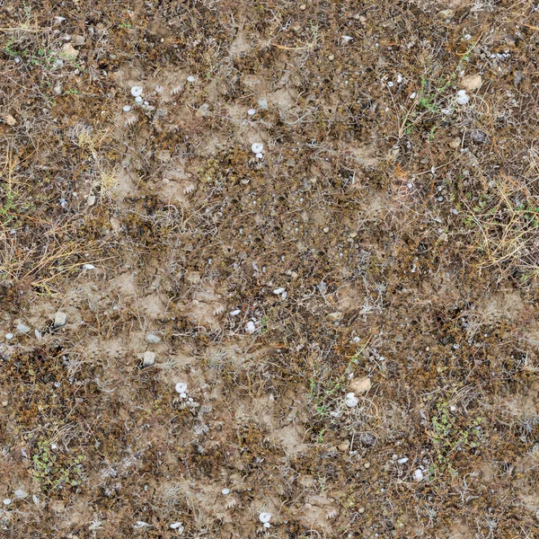 Textura sin costura de los suelos de la pradera . — Foto de Stock