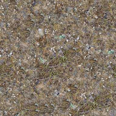 Seamless Texture of Rocky Steppe Soil. clipart