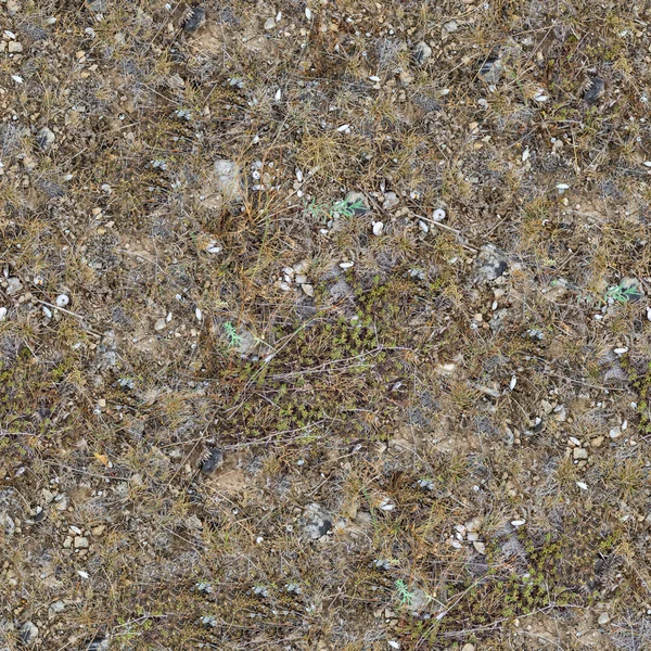 Naadloze textuur van rotsachtige steppe bodem. — Stockfoto