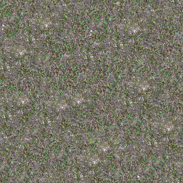 Seamless Texture of Coastal Steppe. — Stock Photo, Image