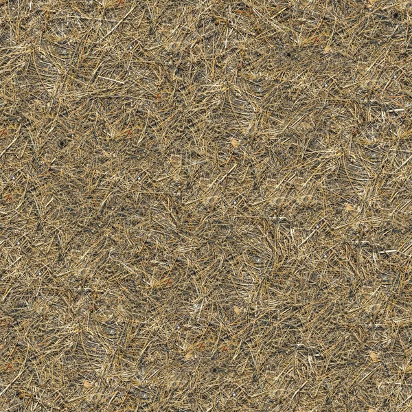 Seamless Texture of Withered Grass. — Stock Photo, Image