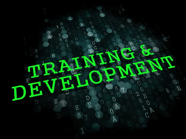 Training and Development. Educational Concept. — Stock Photo, Image