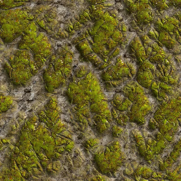 Mossy Stone. Texture carrelable sans couture . — Photo