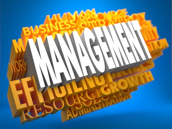 Management. Wordcloud Concept. — Stock Photo, Image