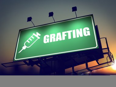 aşılama - sunrise arka planda billboard.