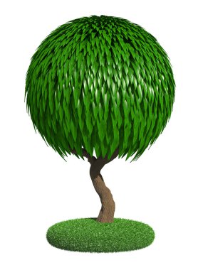 Beyaz arkaplanda izole edilmiş tek ağaç.