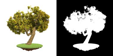 beyaz arkaplanda izole edilmiş yeşil ağaç.