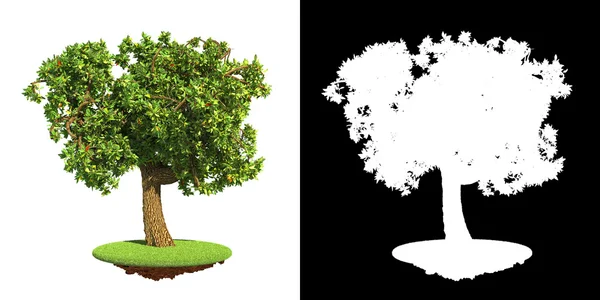 Πολύβλαστο πράσινο δέντρο που απομονώνονται σε λευκό φόντο. — Φωτογραφία Αρχείου