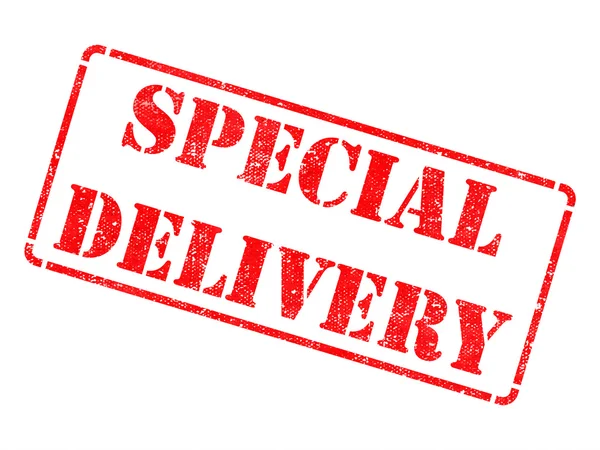 Special Delivery on Red Rubber Stamp. — Stock Photo, Image