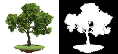 Beyaz arkaplanda izole edilmiş ağaç.