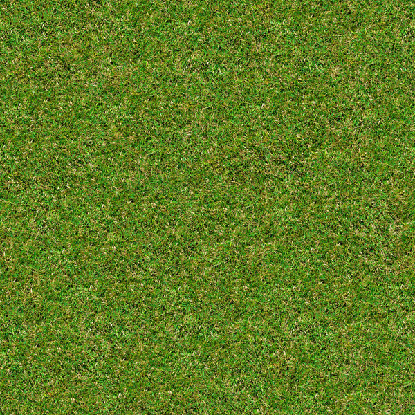 Зеленая луговая трава. Бесшовная текстура
.