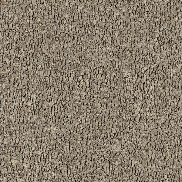 Elm Bark. Textura sin costura Tileable . — Foto de Stock