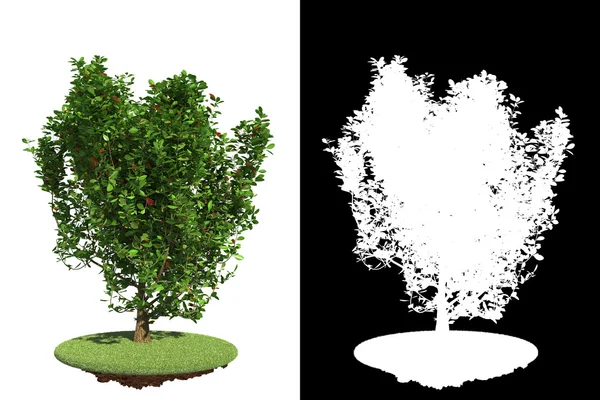 Зеленый кустарник с детальной растровой маской . — стоковое фото