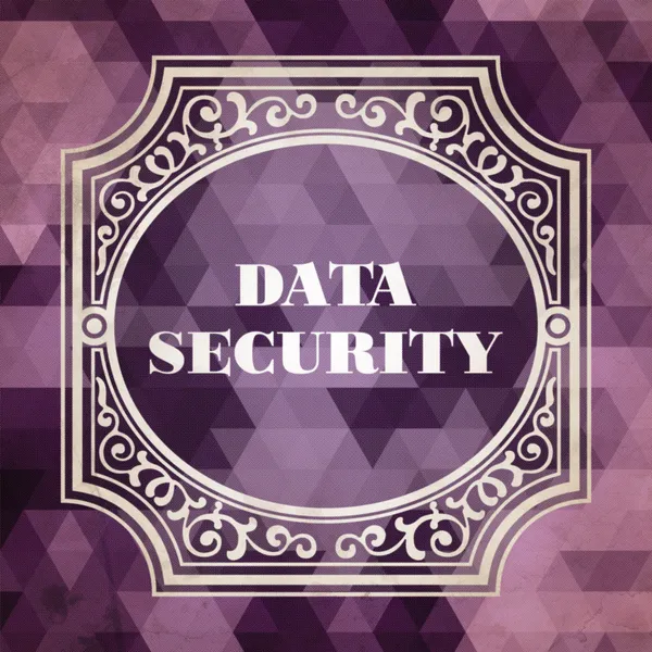 Data Security Concept. Vintage design. — Stock Photo, Image