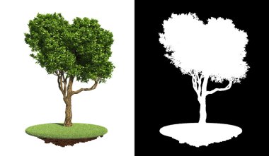 ayrıntılı tarama maskesi çimenlerin üzerinde izole yeşil ağaç.