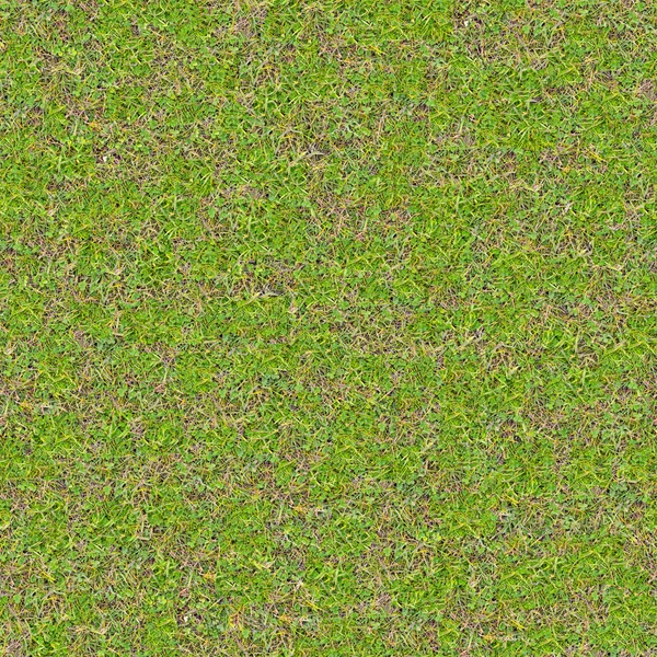 Tender Spring Grass. Seamless TileableTexture. — Stock Photo, Image