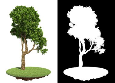 Beyaz arka plan ağaç bahar yeşil.