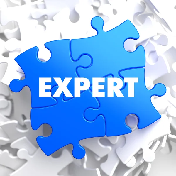 Expert - Concept sur le puzzle bleu . — Photo