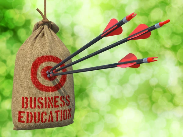 Business Education - Arrows Hit in Red Mark Target. — Stock Photo, Image