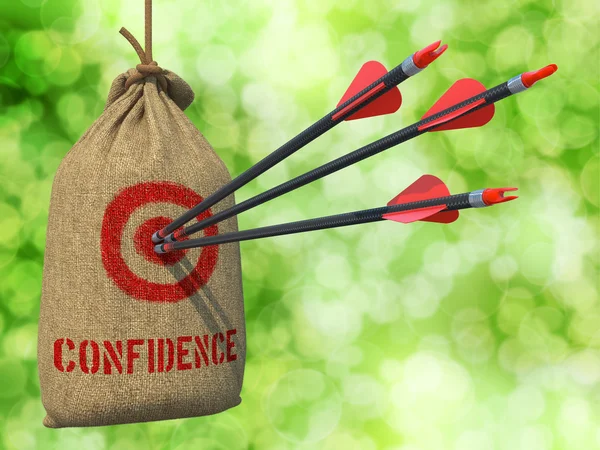Confidence - Arrows Hit in Red Mark Target. — Stock Photo, Image