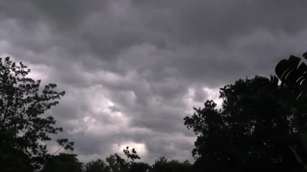 Movimiento Nubes Oscuras Tormentosas Cielo Árboles Bosque Por Viento Antes — Vídeos de Stock