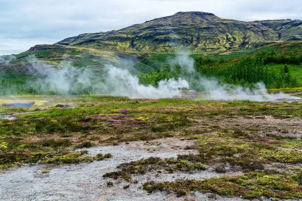 View Steaming Fumarole Field Haukadalur Geothermal Area Southwestern Iceland — Stock Photo, Image