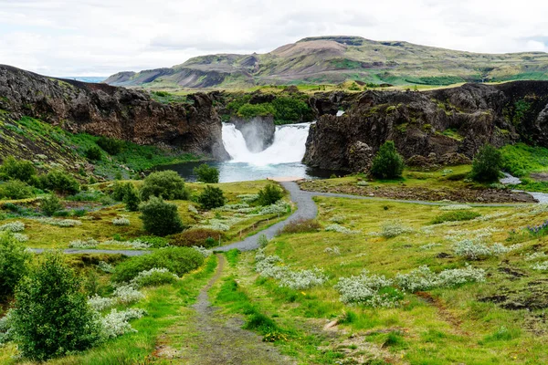 冰岛南部高地Thjorsardalur山谷的Hjalparfoss瀑布和花田景观 — 图库照片