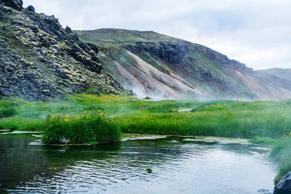 アイスランドの高地にあるLandmannalugarの花や地熱地帯と山の風景の眺め — ストック写真