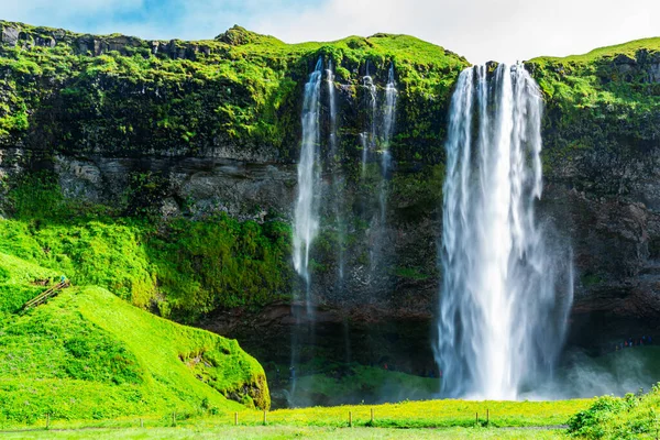 Bela Cachoeira Seljalandsfoss Dia Ensolarado Verão Com Campo Flores Amarelas — Fotografia de Stock