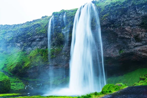 Kilátás Gyönyörű Seljalandsfoss Vízesések Iceland Izlandi Táj Nyári Szezonban Sárga — Stock Fotó
