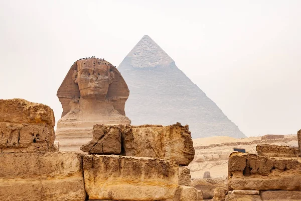 Vue Statue Grand Sphinx Gizeh Dans Plateau Gizeh Grande Pyramide — Photo